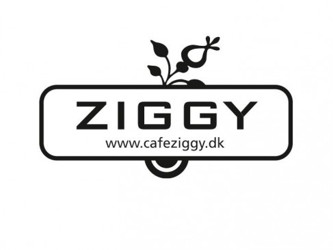 Café ziggy (trøjborg) i aarhus anmeldelse Ziggy køkken